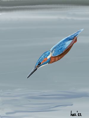 Zomer, zand en zee; NS-wandeling Kennemerduinen