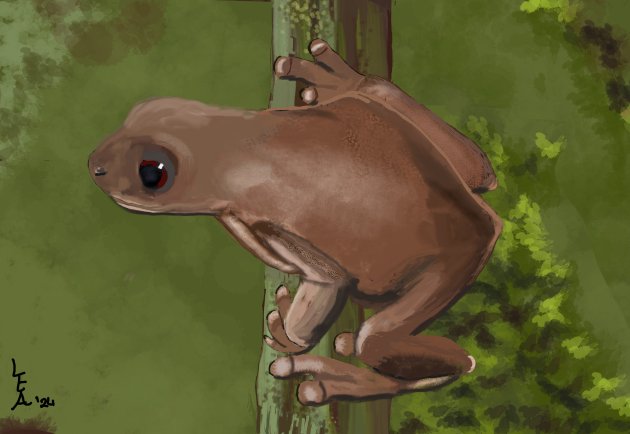 Goedgelovig 
